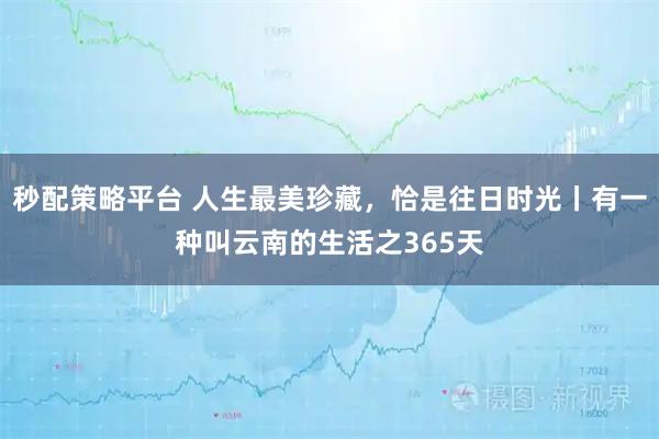 秒配策略平台 人生最美珍藏，恰是往日时光丨有一种叫云南的生活之365天