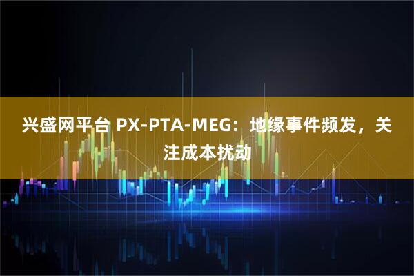 兴盛网平台 PX-PTA-MEG：地缘事件频发，关注成本扰动